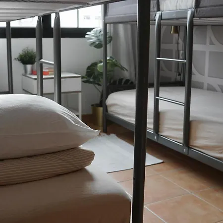 Blue Surf House Only Surf 호스텔 코라레호